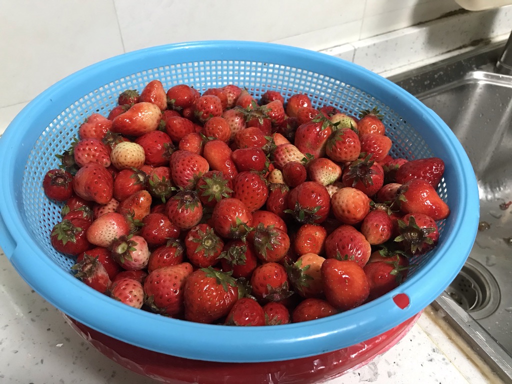 洗好的草莓